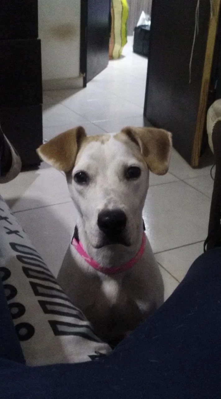Anabell  5