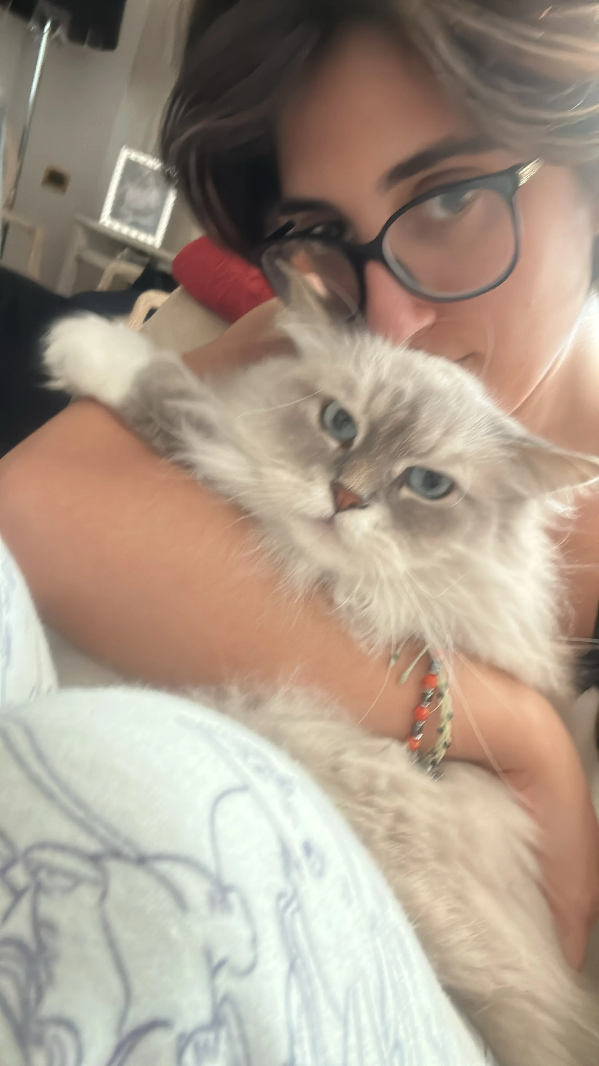 Livia  1