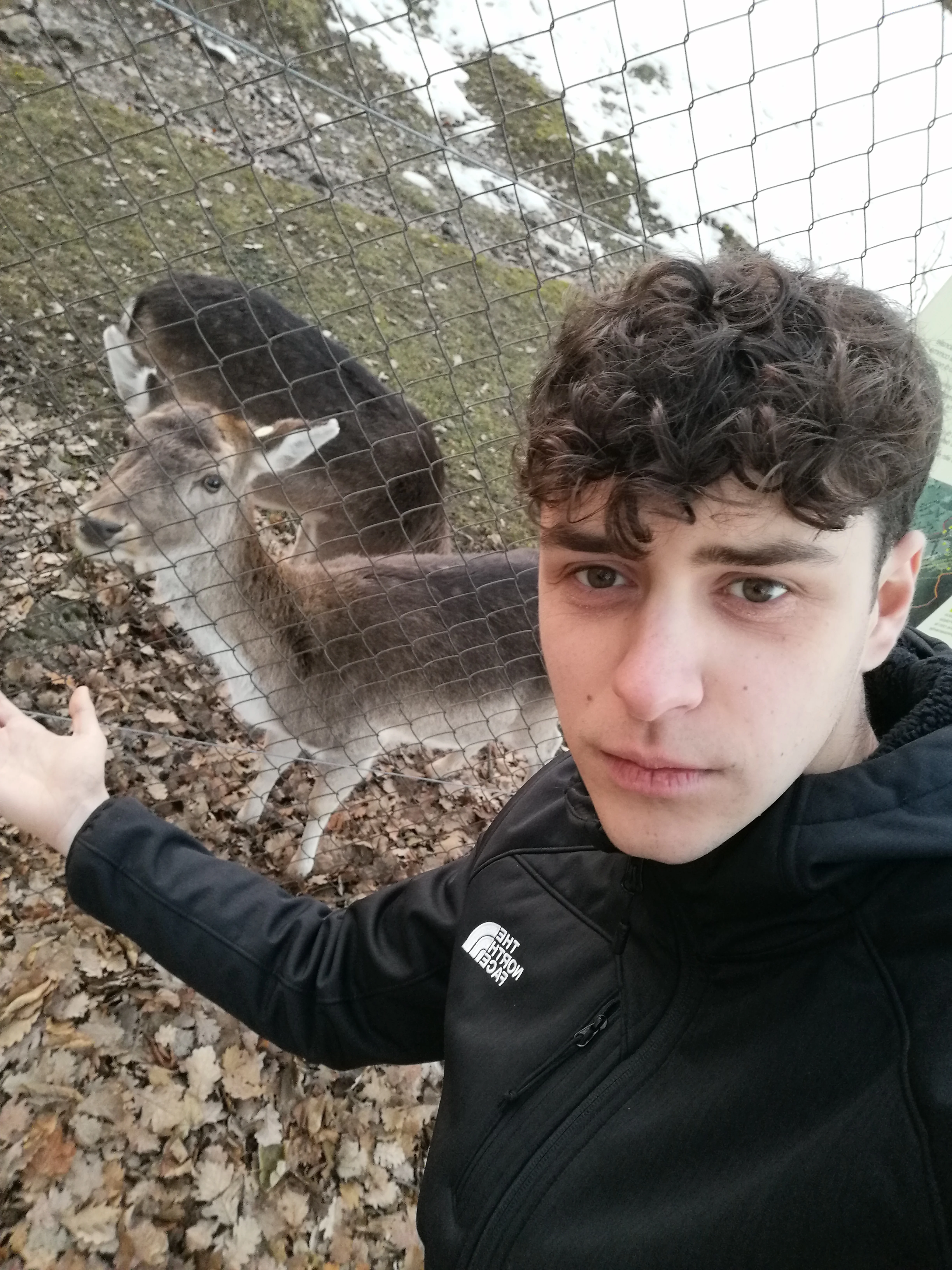 Alessandro  3