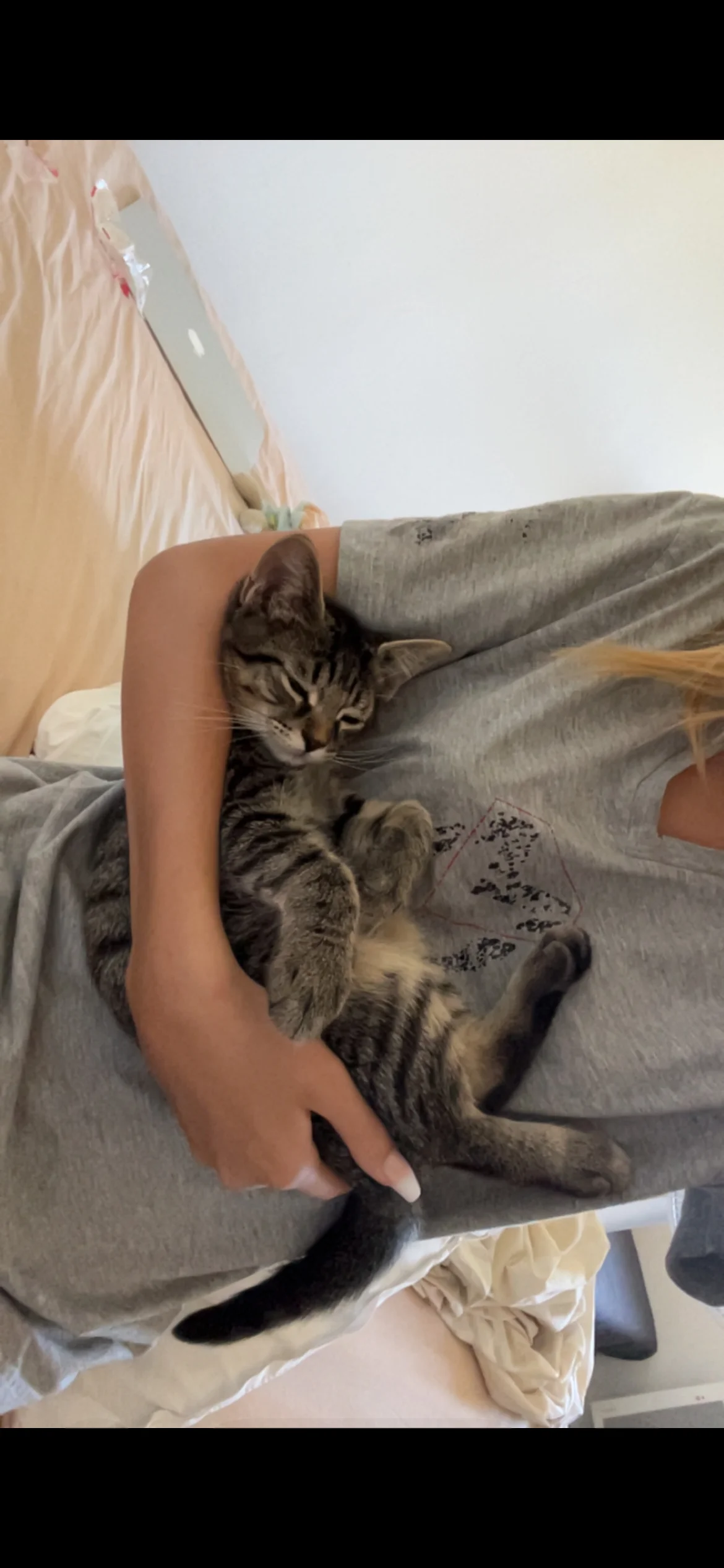Lilie  4