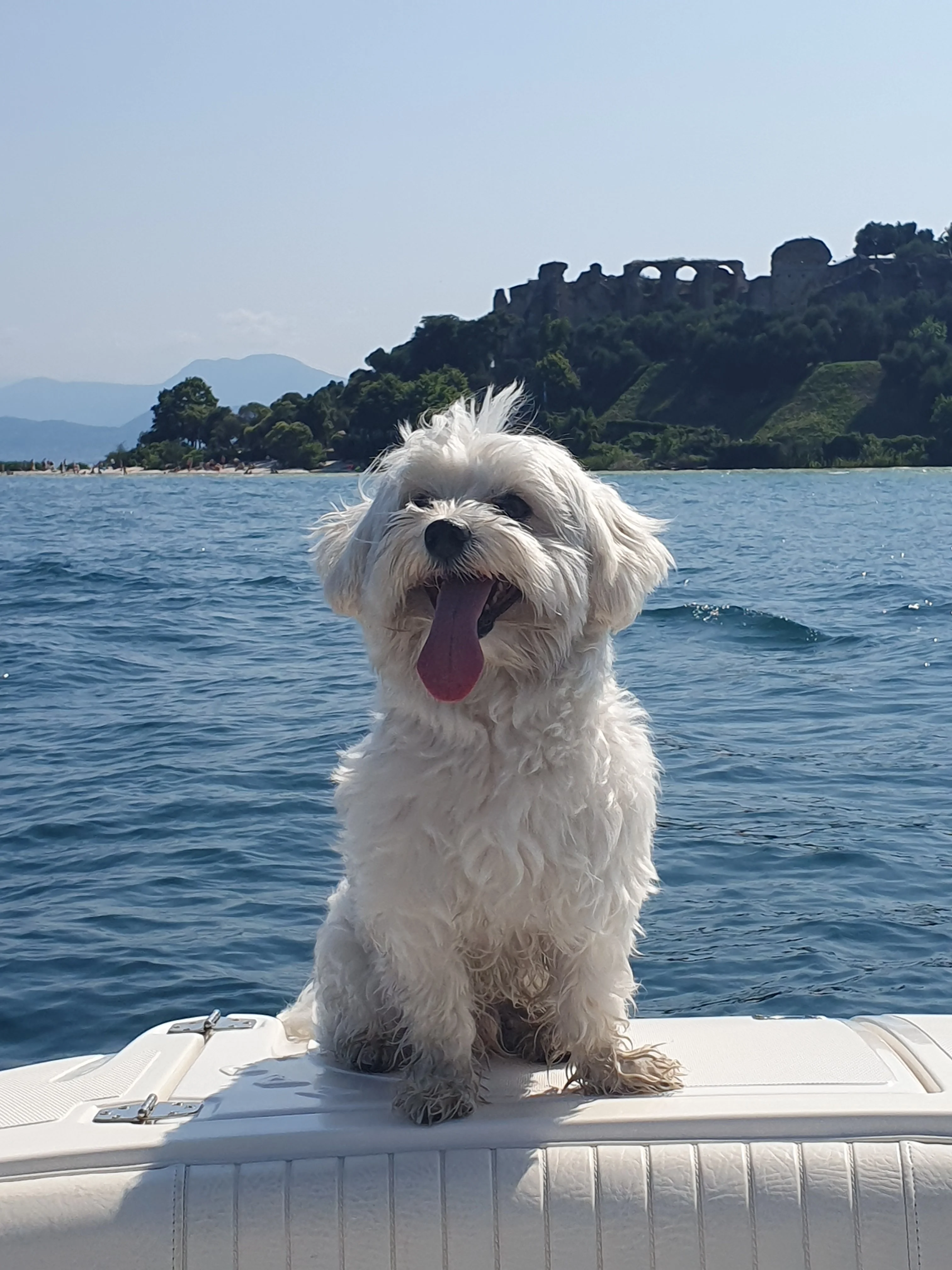 Matilde  4