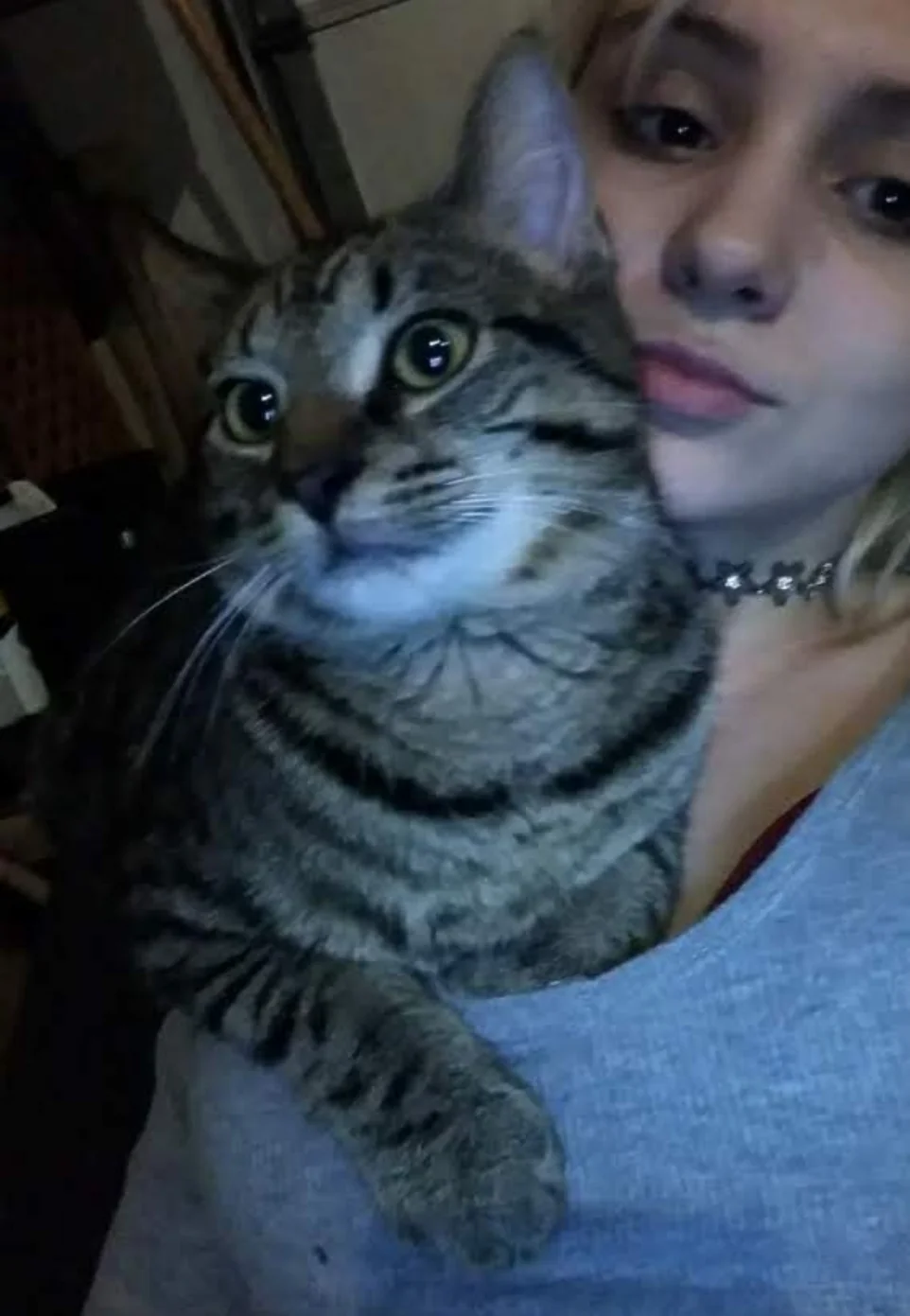 Cassandra  Peet 2