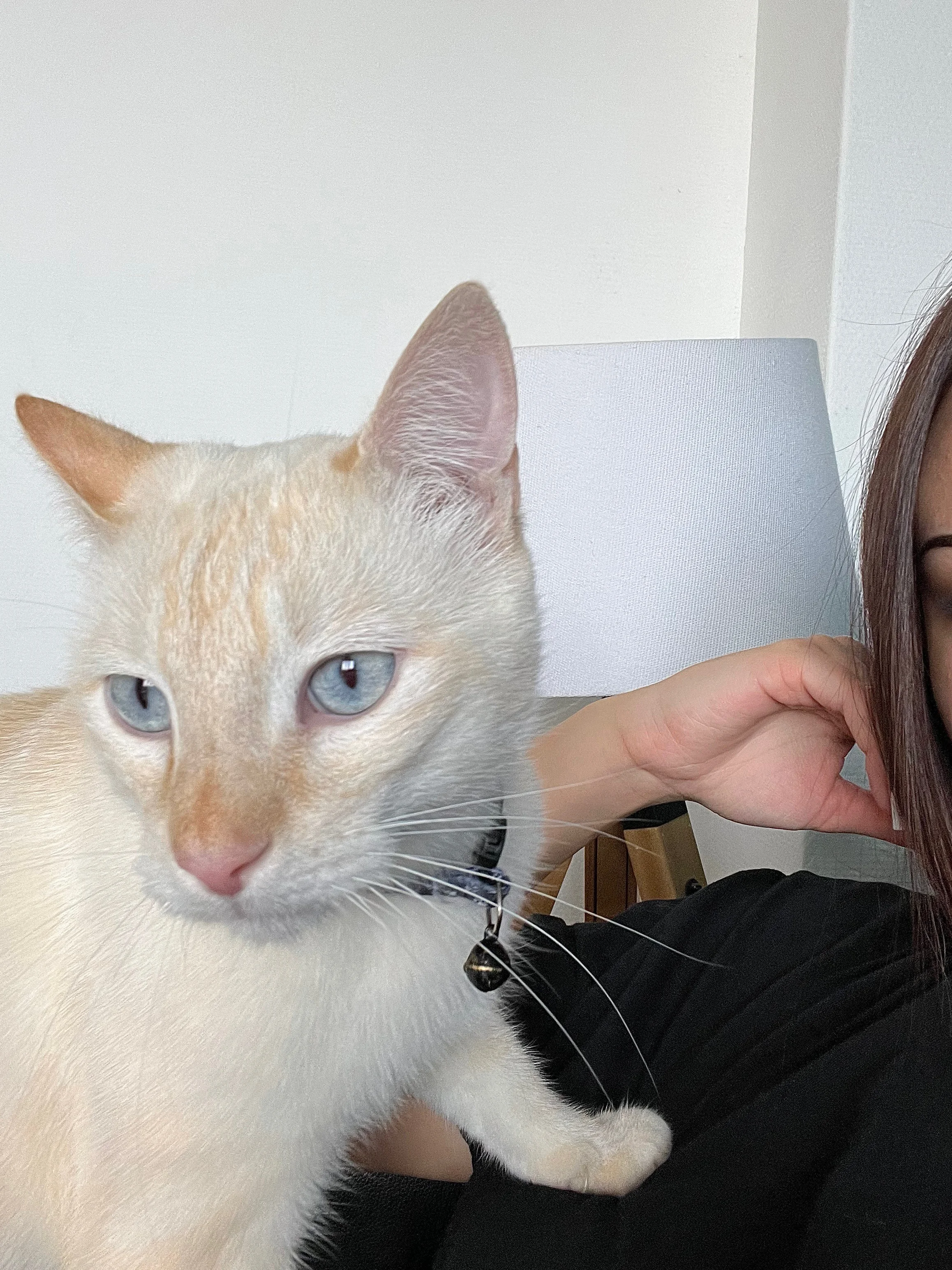Lara Combin 4