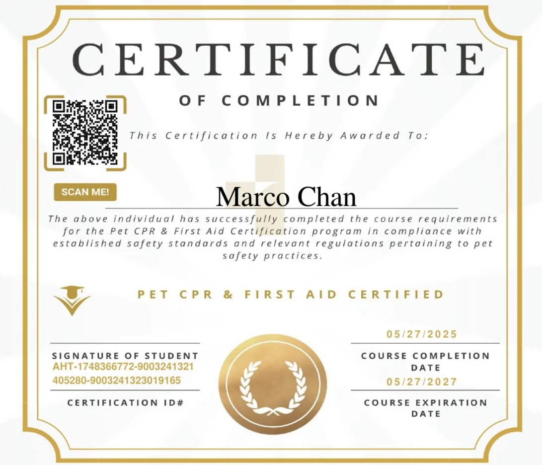 Marco Chan 3