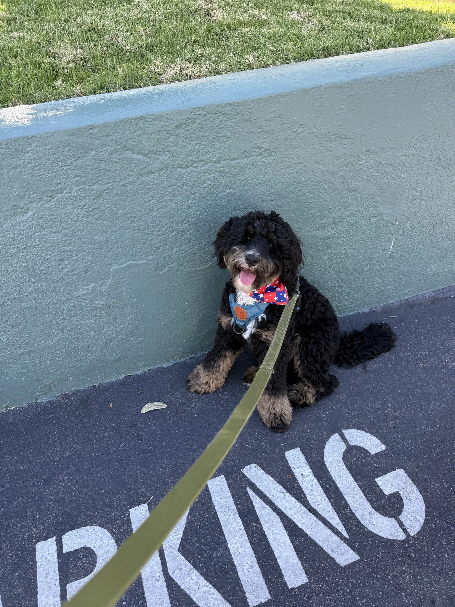 Kelly - Drop-in Visits provider in Ventura