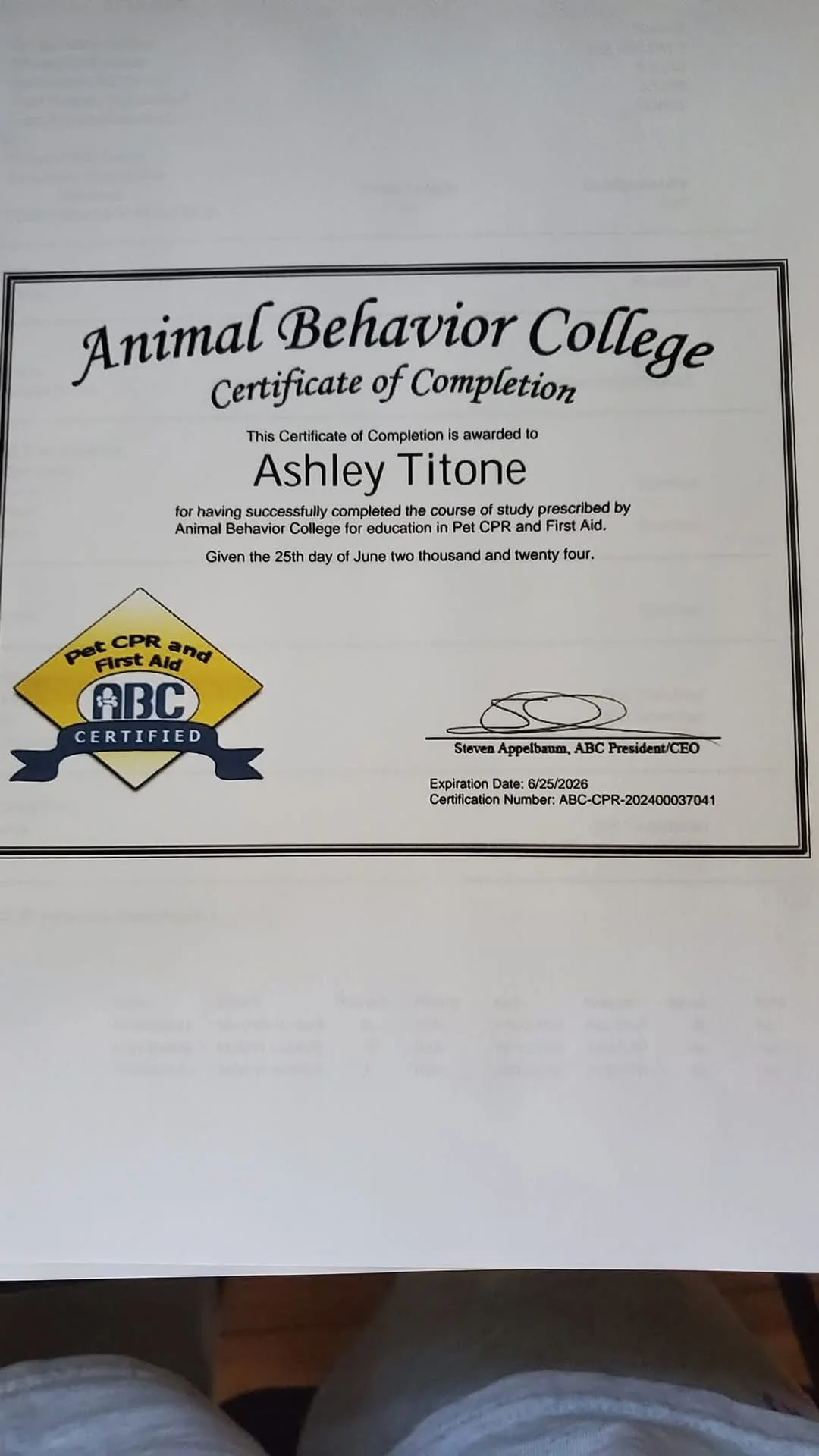 Ashley Titone 4