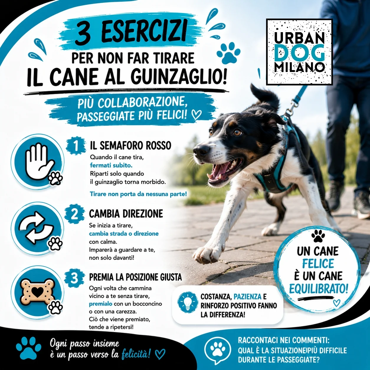Urban Dog Milano Lissoni 2