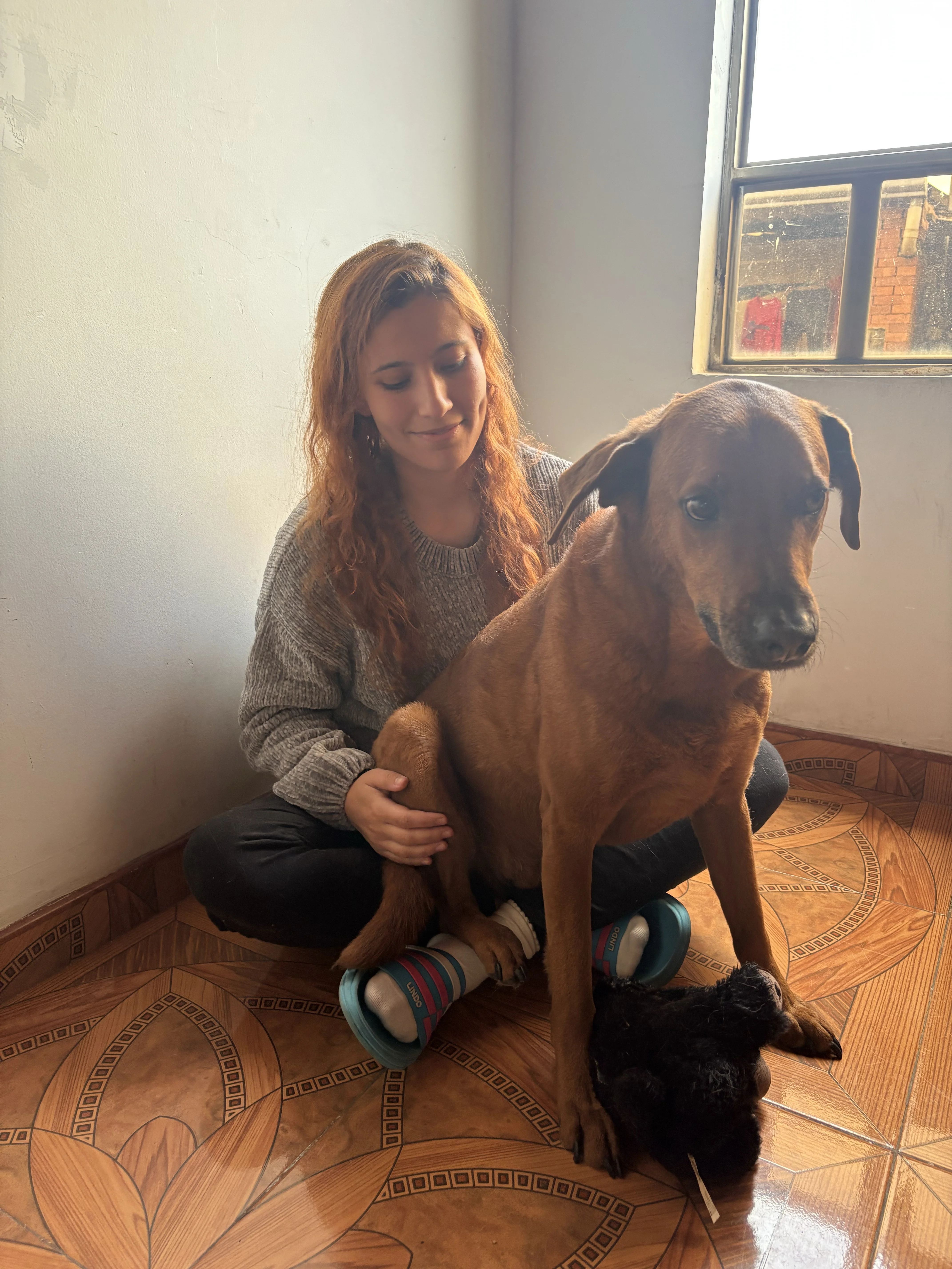 Luisa Ordonez  1