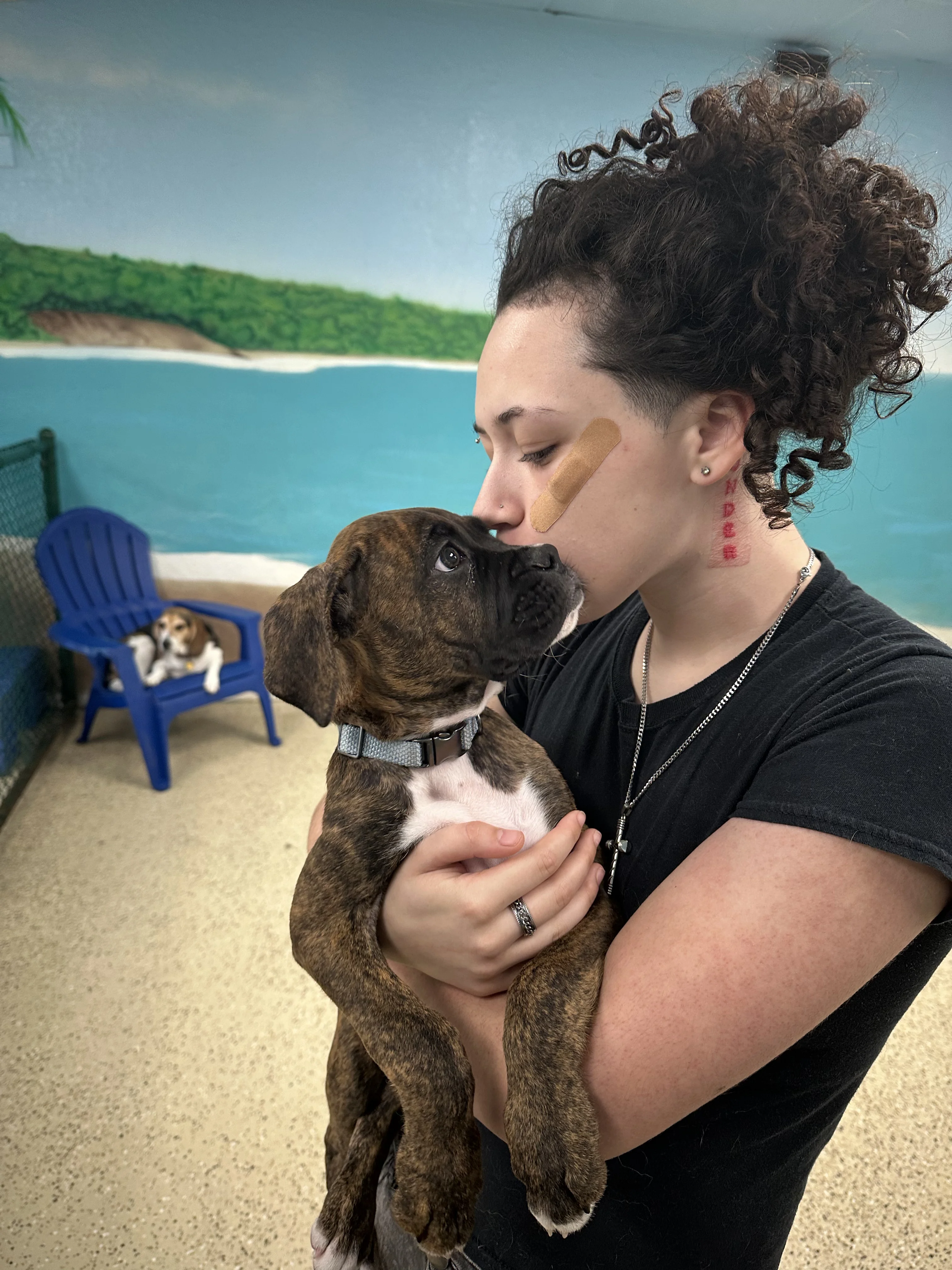 serenity - Drop-in Visits provider in Florida