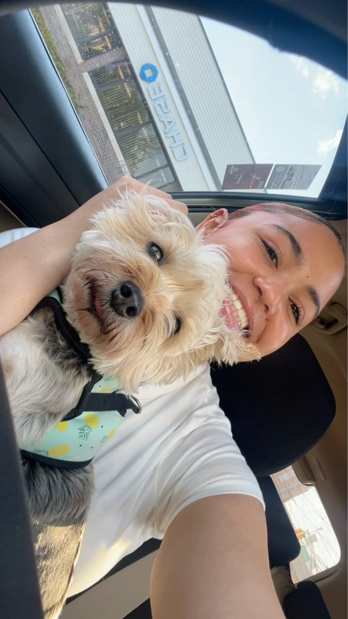 Mayret  - Dog Walking provider in New Jersey