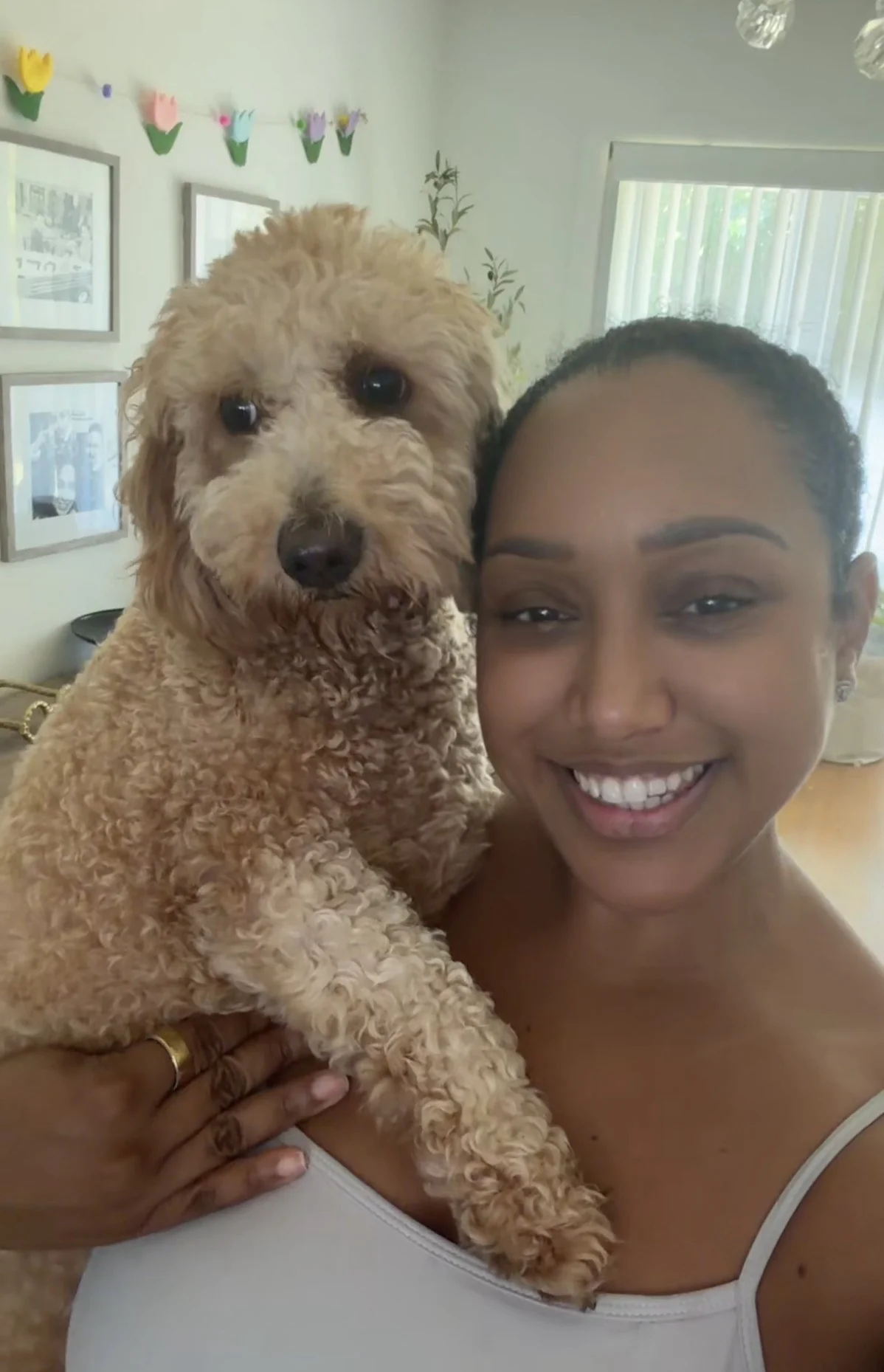 Rhi - Dog Walking provider in New Jersey