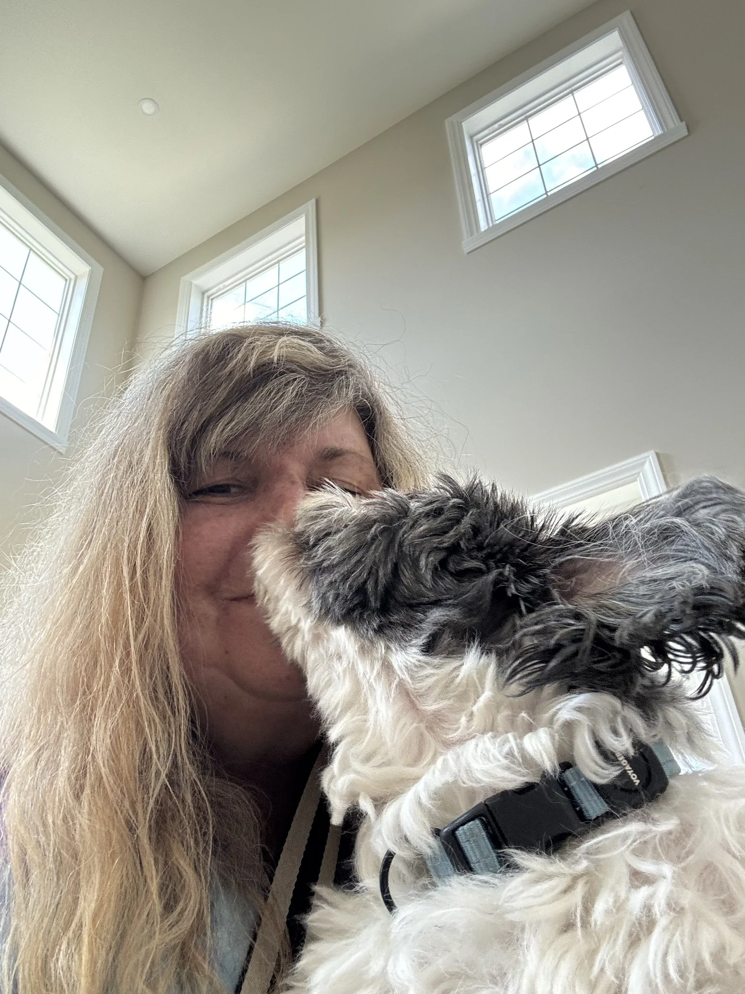 Maureen - Drop-in Visits provider in New York